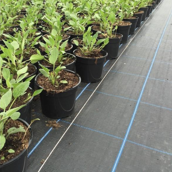 Chargez l'image dans la visionneuse de la galerie, Ground cover geotextile for preventing weed growth